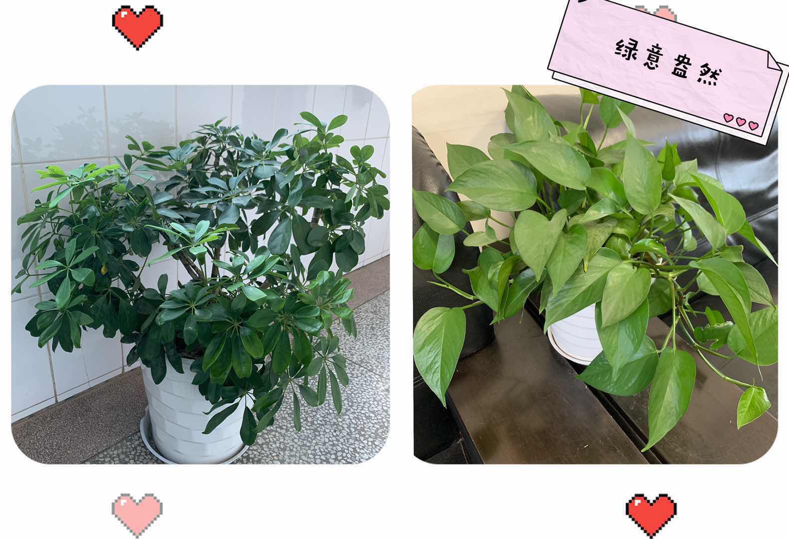 水务集团开展节能宣传周活动(图1) 水务集团开展节能宣传周活动(图1)